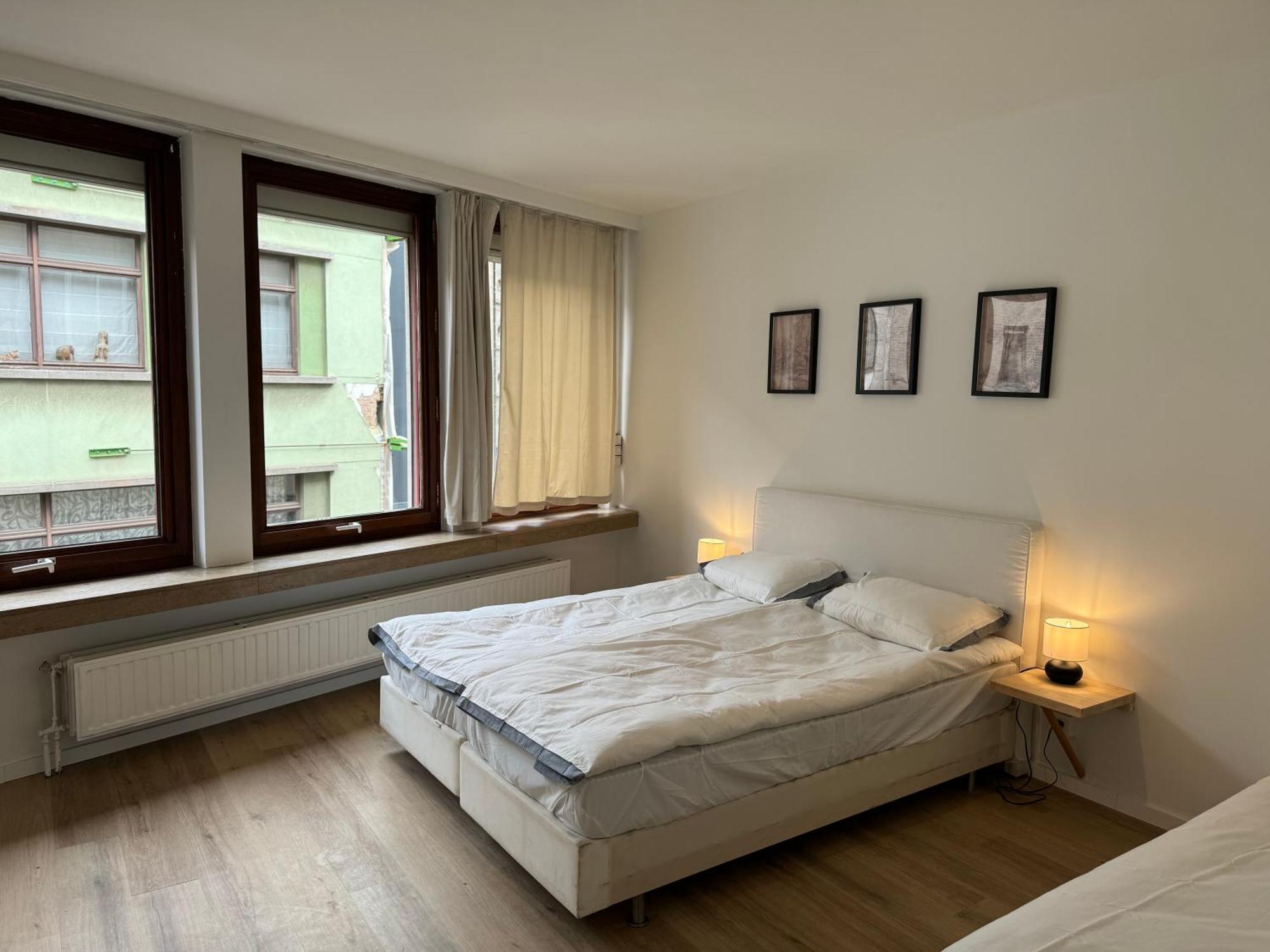Loft With Big Terrace Center Meir Anvers